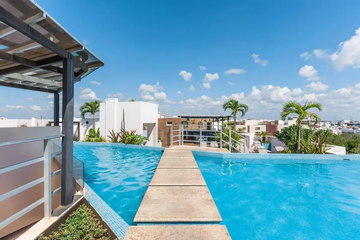 Large Studio With Working Space 100M From 5Th Ave Playa del Carmen 0*,